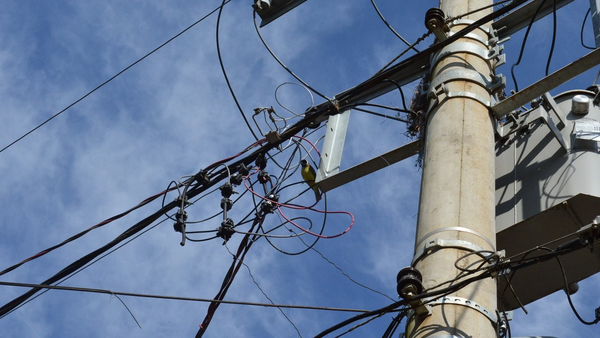 Denúncia aponta possível atuação de facção criminosa na expansão de internet no interior da Bahia